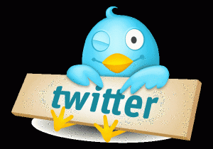 twitter-logo-bird-600x420