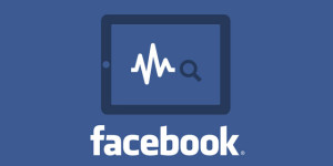 facebook-statistiques-2013