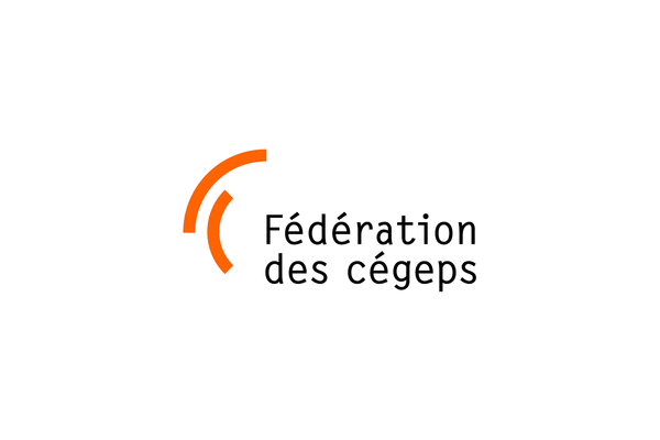 Conseiller ou conseillère en développement et promotion de la formation ...