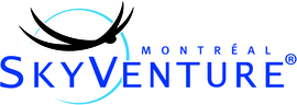 Logo SkyVenture