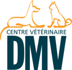 Logo Centres vtrinaires DMV