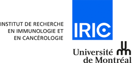 Logo Institut de recherche en immunologie et en cancrologie (IRIC)