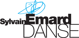 Logo Sylvain mard Danse
