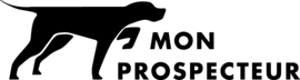 Logo Mon Prospecteur Web Inc