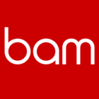 Logo BAM Strategy