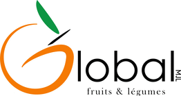 Logo Global MJL