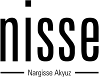 Logo Nisse Import Export inc.