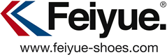 Logo Feiyue