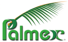 Palmex International Inc. 