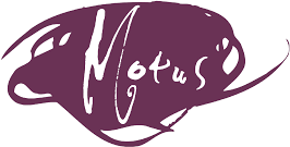 Logo Thtre Motus