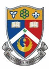 Logo Toronto International College