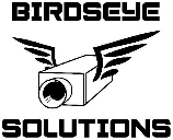 Logo Birdseye Solutions
