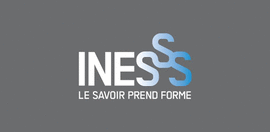L'Institut national d'excellence en sant et en services sociaux (INESSS)