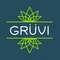Logo Grvi