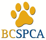 Logo BCSPCA