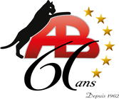 Logo Pavage et Amnagement Paysager Antonio Borsellino inc