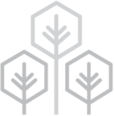 Logo Treetop Marketing