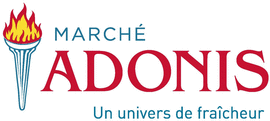 Logo Groupe Adonis  Inc