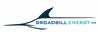 Broadbill Energy Inc.
