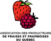 Logo Association des producteurs de fraises et framboises du Qubec