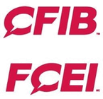CFIB FCEI