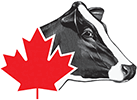 Holstein Canada