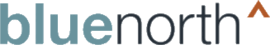 Blue North Strategies