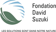 Logo Fondation David Suzuki
