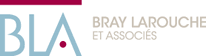 Bray, Larouche et Associs