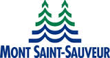 Logo Mont Saint-Sauveur International