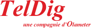 Logo Teldig