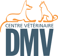 Logo Centre Vtrinaire DMV