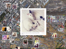 Réseaux sociaux: des photos de chats qui trahissent votre lieu de résidence!