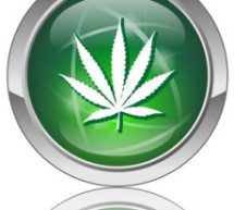 Le marketing du cannabis (légalisé), mode d’emploi
