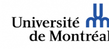 L’emploi du jour: Conseiller en communication Web pour l’Université de Montréal