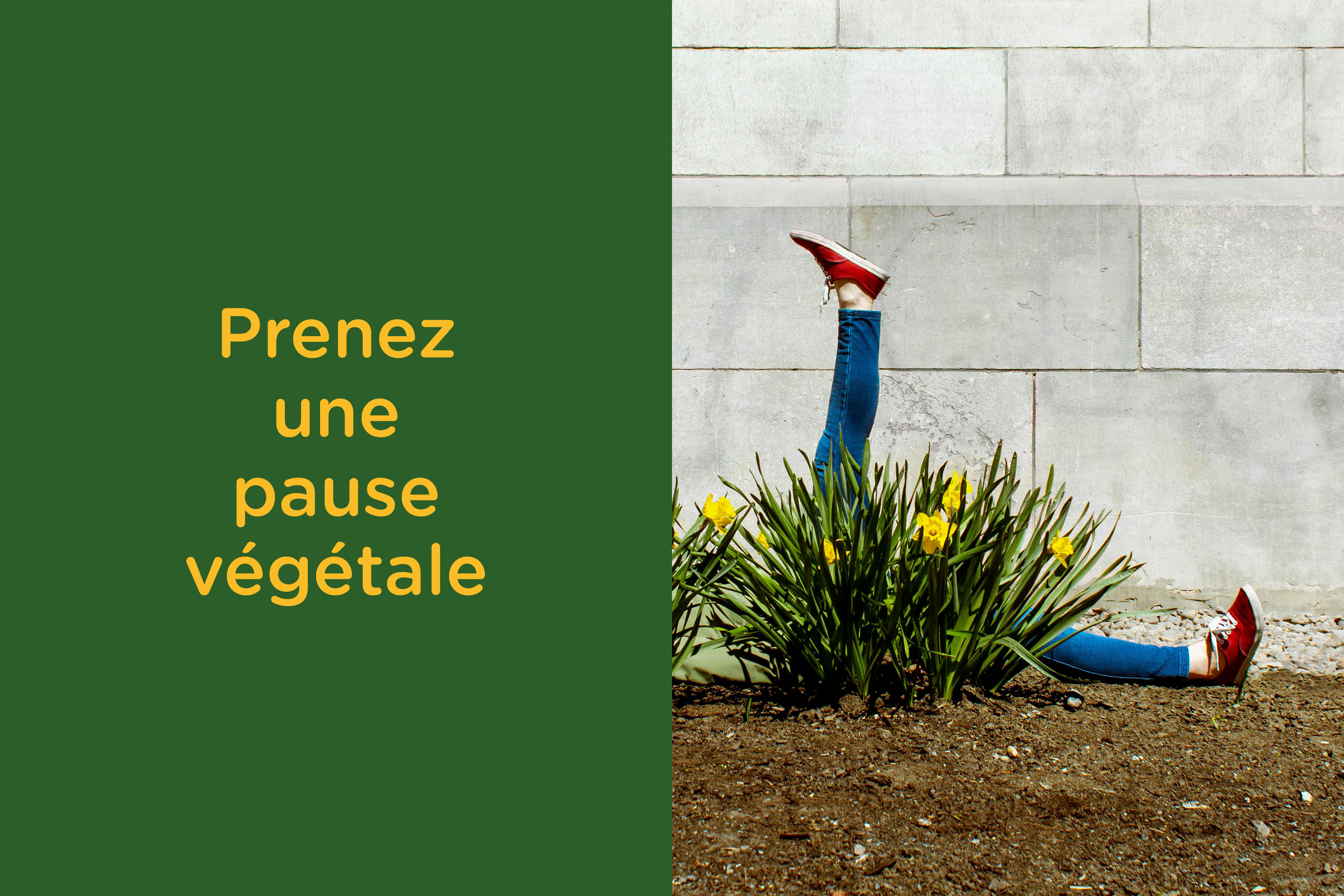 K72 signe la nouvelle campagne « Pause végétale » pour Urban Picnik — free download