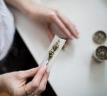 Un an après sa légalisation, le cannabis a moins d’incidence que prévu sur le travail