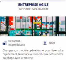 Formation : Entreprise Agile – Comment être prêt à se réinventer constamment