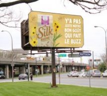 Des nichoirs pour abeilles sur des panneaux publicitaires, une initiative de Silk, Patisson et l’Université de Montréal
