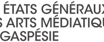 Un bilan positif pour les premiers États généraux des arts médiatiques en Gaspésie