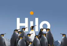 Hilo : un mouvement collectif intelligent mis en lumière par LG2