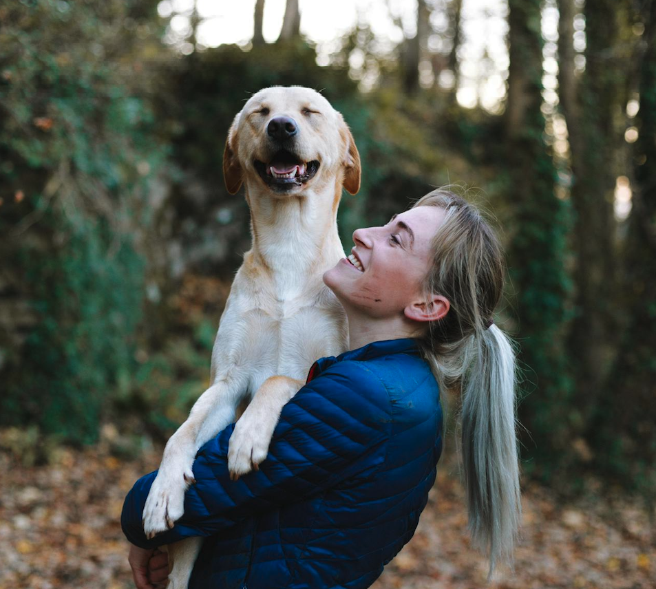 L’attribut alt de cette image est vide, son nom de fichier est Capture-décran-le-2025-10-29-à-11.47.03.png.