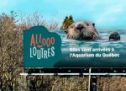 adviso et la Sépaq célèbrent l&rsquo;arrivée de quatre loutres à l’Aquarium du Québec