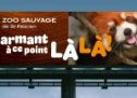 « Beau à ce point LÀ LÀ! » : Turbulences signe la nouvelle campagne du Zoo sauvage de Saint-Félicien