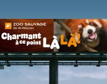 « Beau à ce point LÀ LÀ! » : Turbulences signe la nouvelle campagne du Zoo sauvage de Saint-Félicien